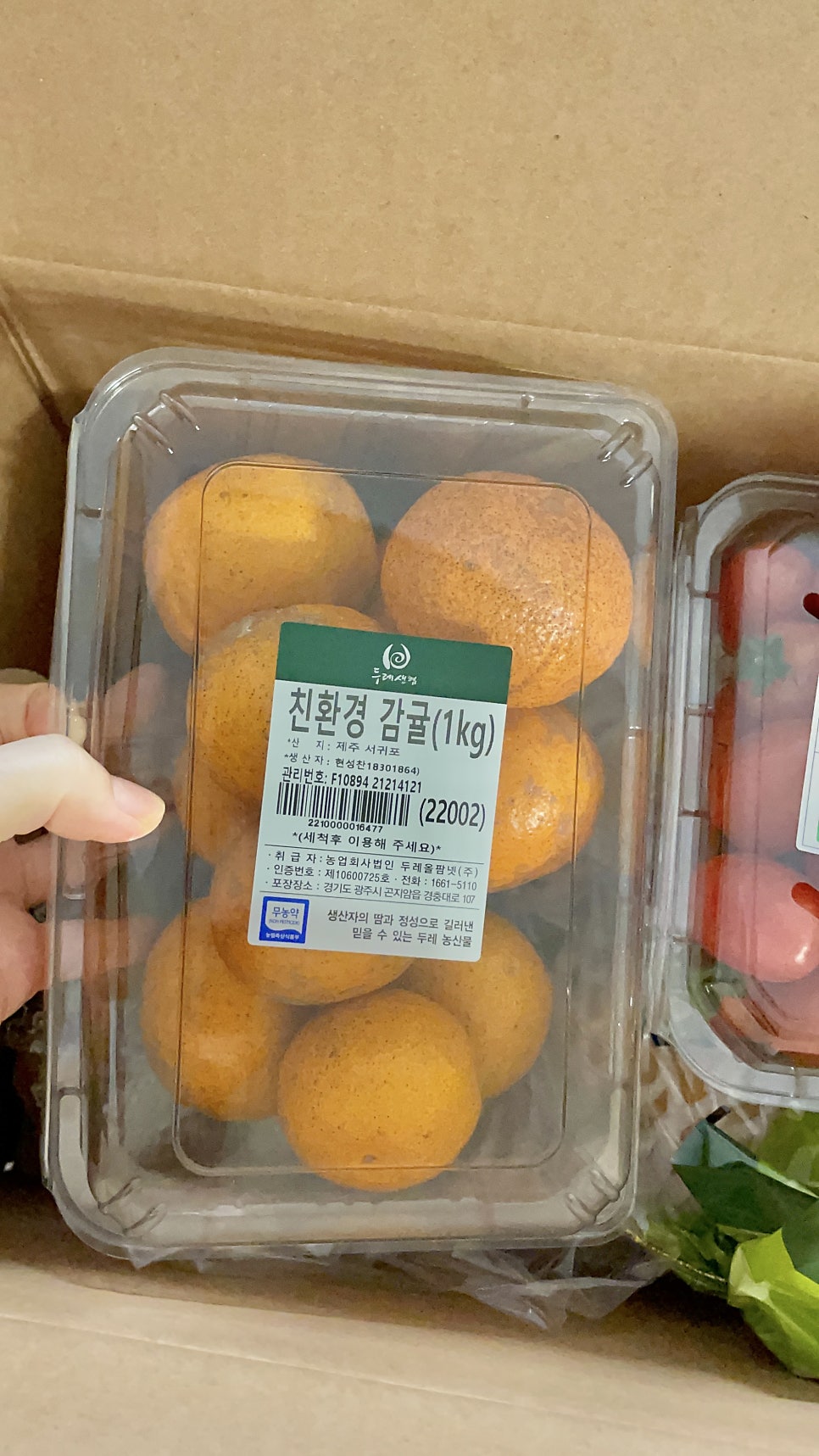 호야네 사진 2