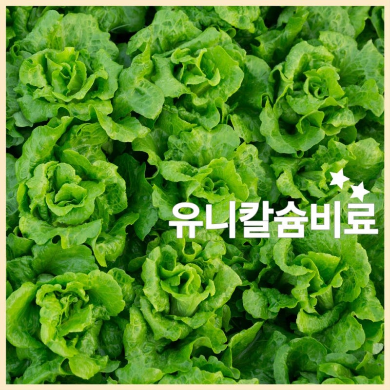 유니칼슘비료(NK-Cal), 야라 것은 관주가 안된다?
