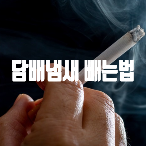 담배냄새 빼는법 제거 옷 손 화장실 차량 총정리