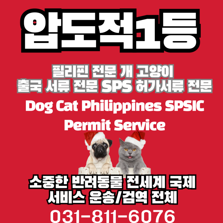  개(강아지)고양이 반려동물 필리핀 해외운송 검역 출국서류 SPS수입허가 신청시 거절 reject