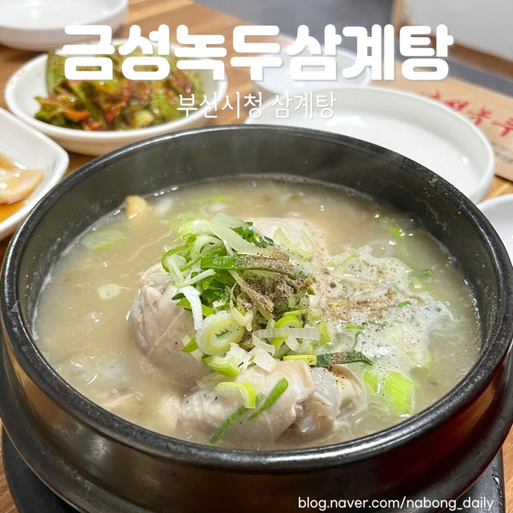  부산시청 삼계탕 부모님 모시고 가기 좋은 금성녹두삼계탕