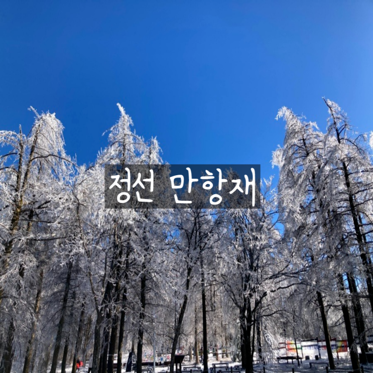  국내 겨울 여행지 추천 눈꽃여행 정선 만항재