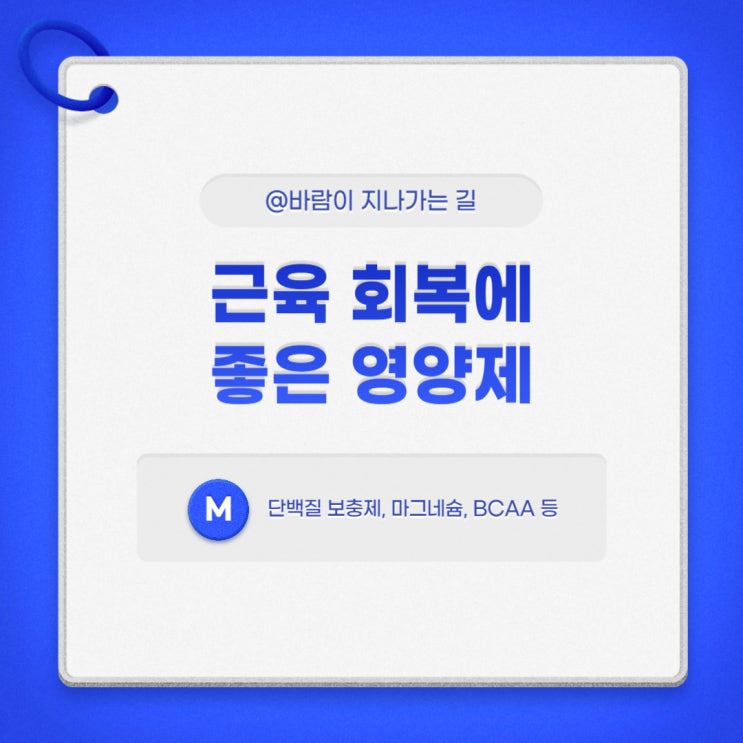  근육 회복에 좋은 영양제 추천_단백질 보충제, 마그네슘 등