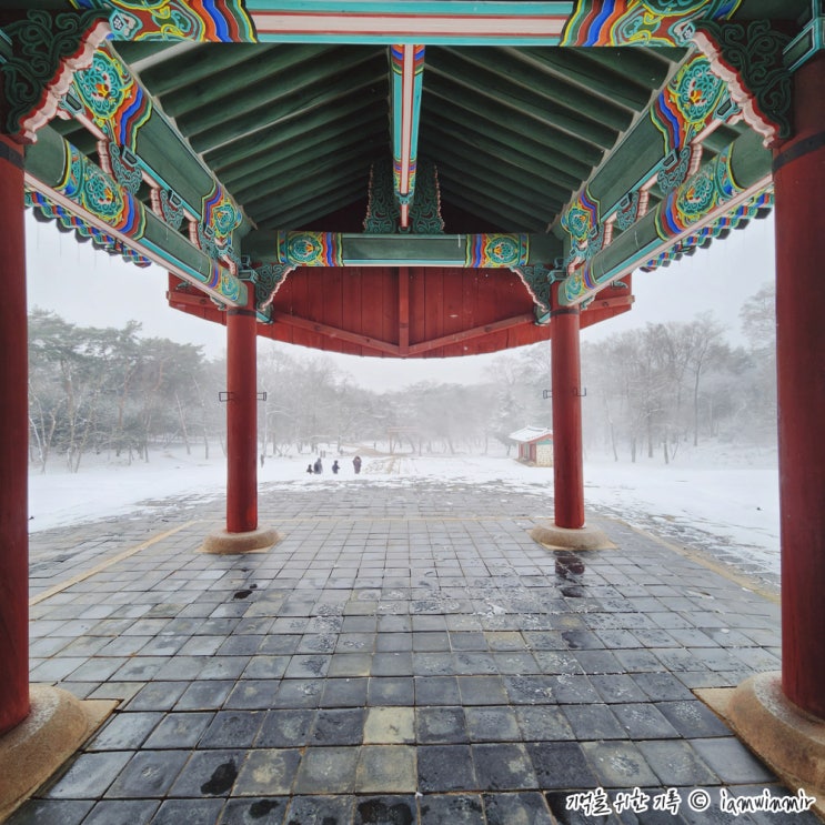 화성 융건릉 설경 화성 융건릉 설경