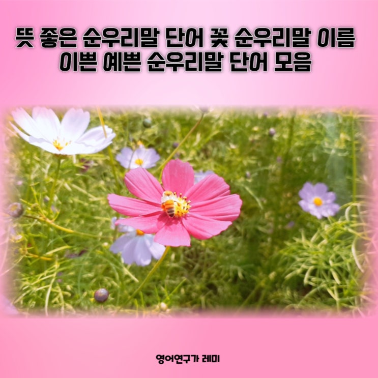 뜻 좋은 순우리말 단어 꽃 예쁜 순우리말 이름 이쁜 예쁜 순우리말 단어 모음 뜻 좋은 순우리말 단어 꽃 예쁜 순우리말 이름 이쁜 예쁜 순우리말 단어 모음