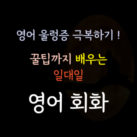  여주 기초 영어회화 성인영어 오픽과외 토익 아이엘츠 직장인영어 비즈니스 배워요