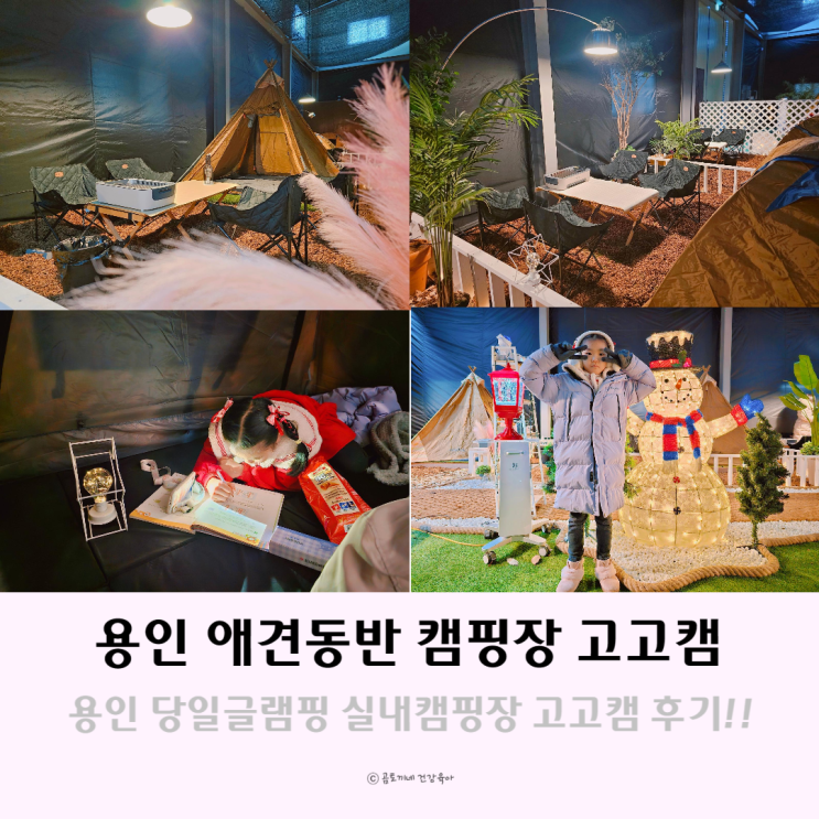 용인 당일 글램핑 실내 캠핑장 고고캠에서 캠크닉 후기 용인 당일 글램핑 실내 캠핑장 고고캠에서 캠크닉 후기