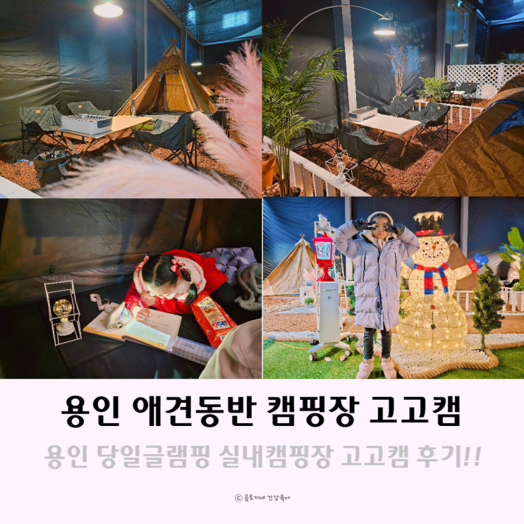 용인 당일 글램핑 실내 캠핑장 고고캠에서 캠크닉 후기