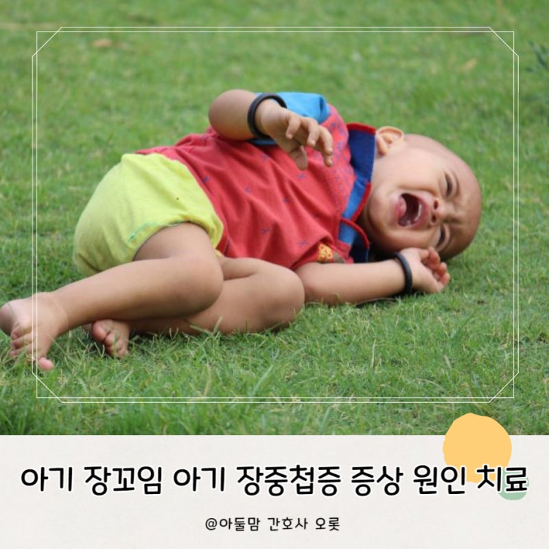 아기 장꼬임 아기 장중첩증 증상 원인 치료