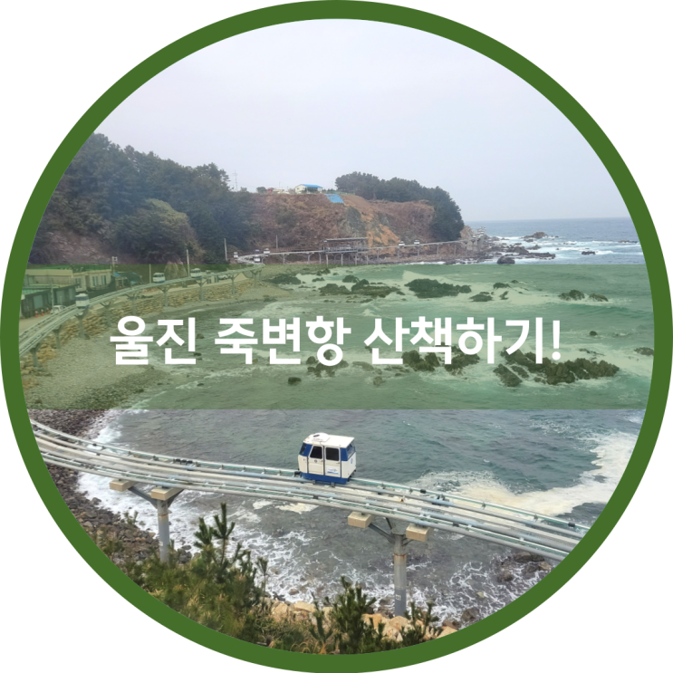  울진 모노레일, 죽변항 이곳저곳 산책했어요.