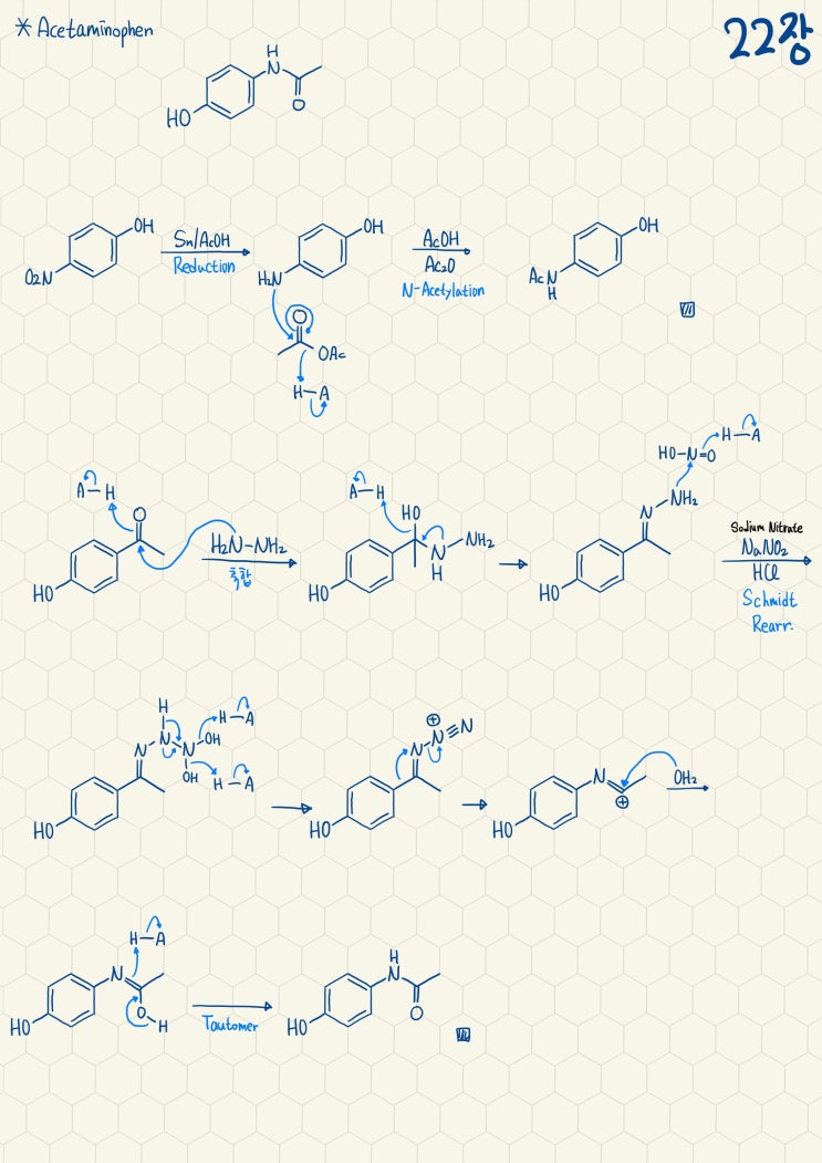  Acetaminophen의 합성기전