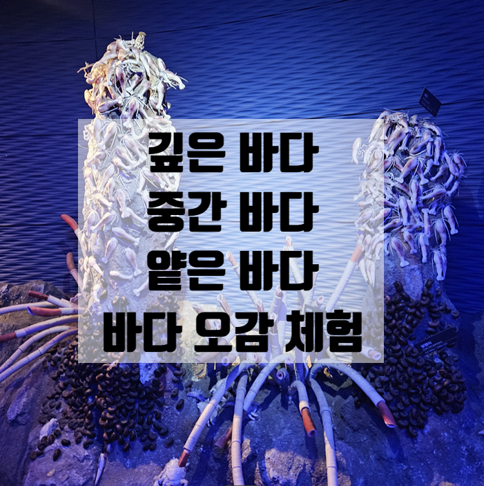  아이와 목포 여행 목포어린이바다과학관 깊은 바다는 어떨까? 오감 바다체험과 과학 원리까지