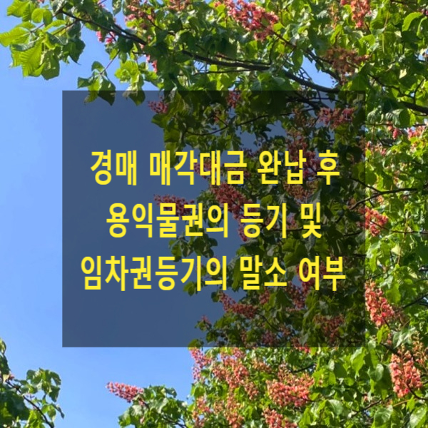  경매 매각대금 완납 후 용익물권의 등기 및 임차권등기의 말소 여부