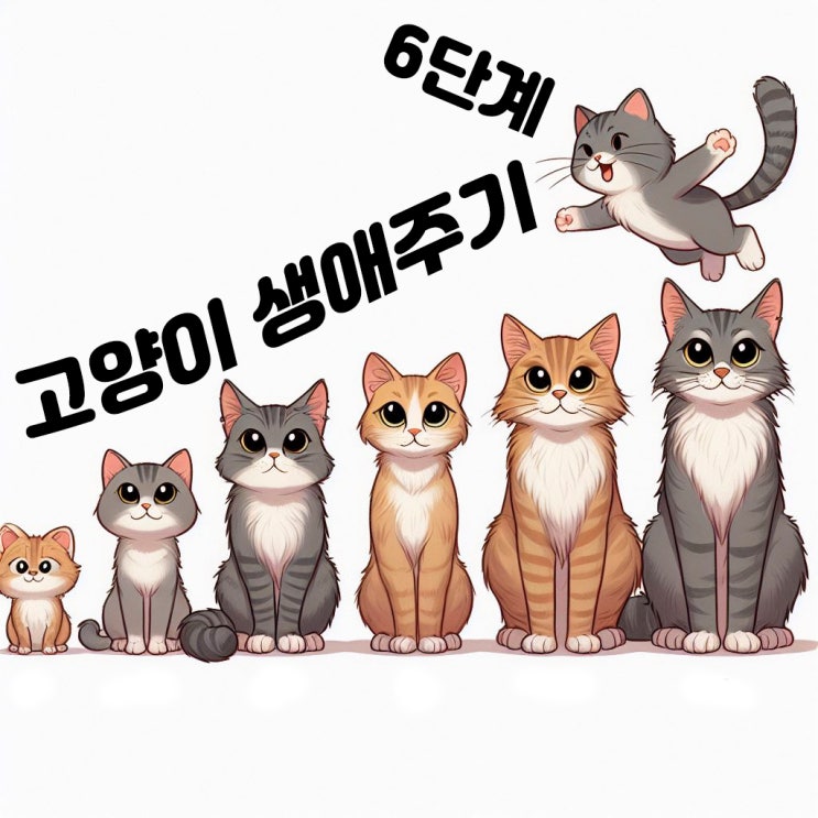  고양이 생애주기 6단계