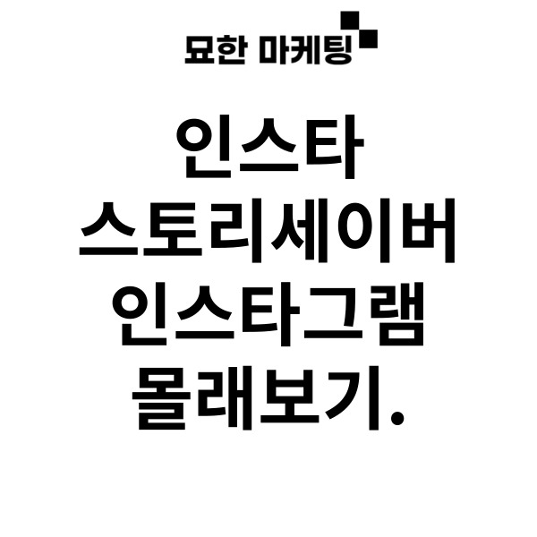 인스타 스토리세이버 인스타그램 스토리 몰래보기.