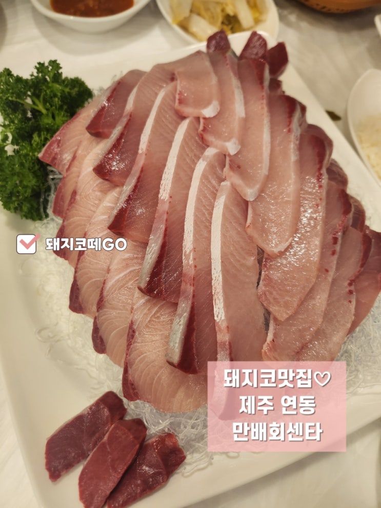  [돼지코떼GO] 제주연동횟집_만배회센타_제주특방어_방어맛집_제주횟집추천_특방어_제주여행_제주공항맛집