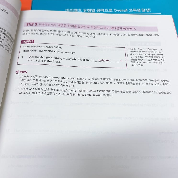  아이엘츠 후기, 한달만에 IELTS 7 준비 성공