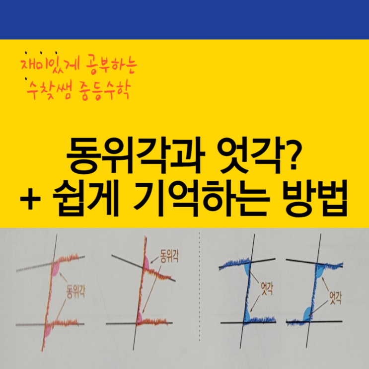 동위각 엇각? [중1수학]