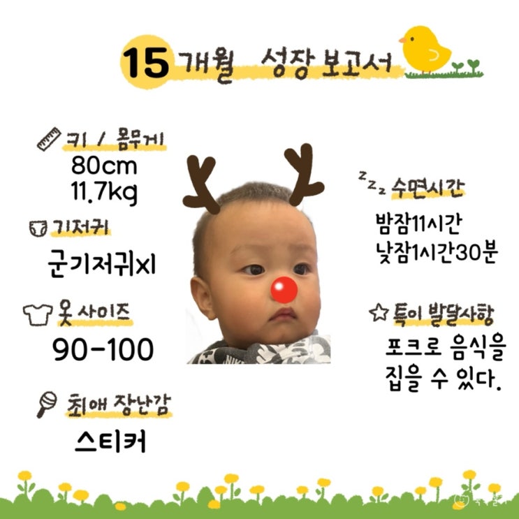  [메리의 성장 보고서] 15개월 아기 발달 기록