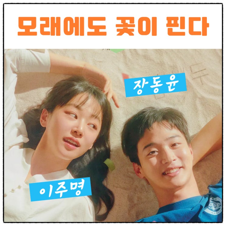 모래에도 꽃이 핀다 <b>장동윤</b> 이주명 윤종석 김보라 출연진... 