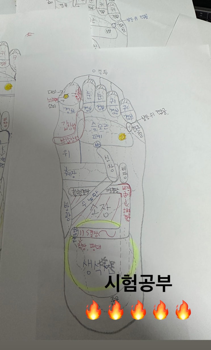  기말시험공부 하다가...