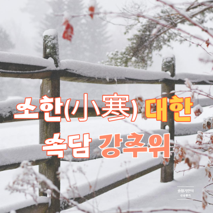  소한 대한 속담 유례