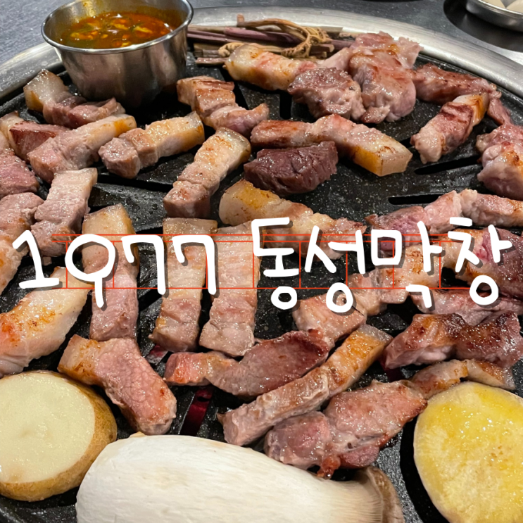 장기동 먹자골목 장기동맛집 1977 동성막창 장기동 먹자골목 장기동맛집 1977 동성막창