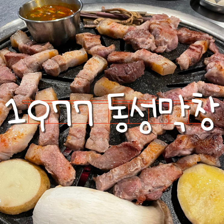 장기동 먹자골목 장기동맛집 1977 동성막창