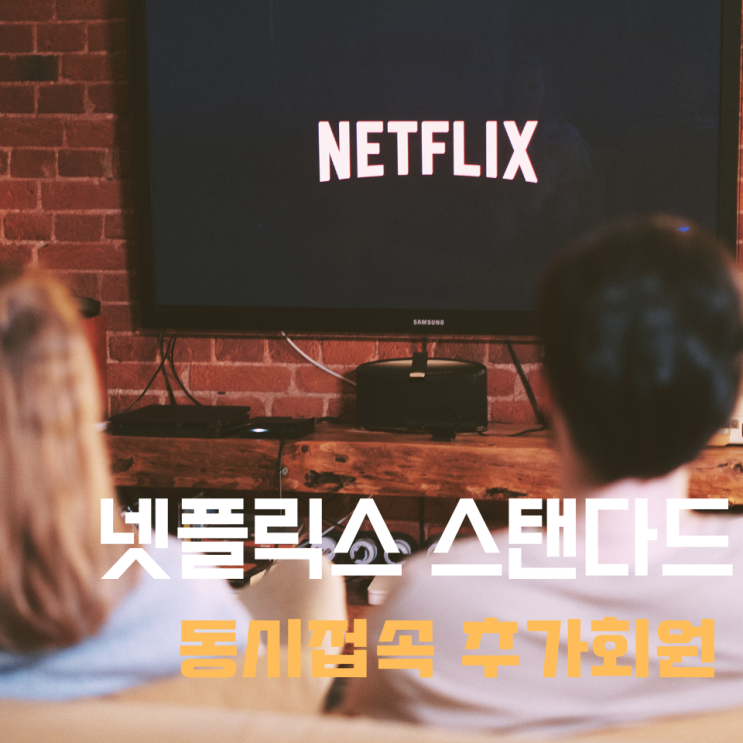  넷플릭스 광고형 스탠다드 동시접속과 추가회원은?