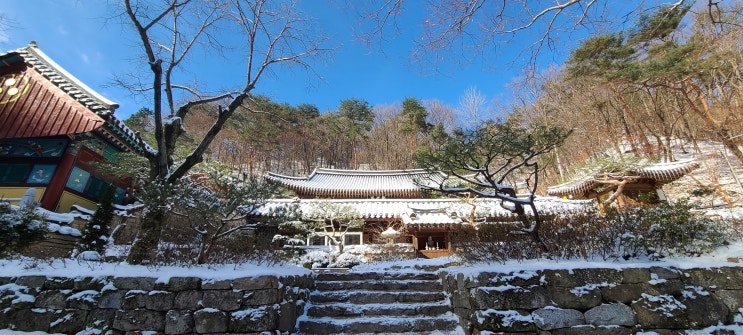  계룡산 동학사의 눈 내린 날의 풍경, 대전 근교 여행지로 추천합니다.