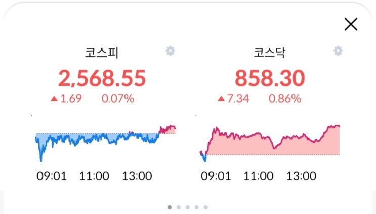  주린이의 경제적자유를 위한 투자내역! 12월19일 장마감후