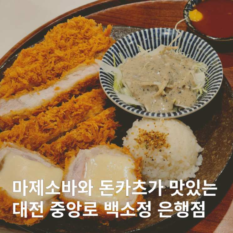  대전 대흥동 가성비 마제소바와 돈까스 맛집 :: 백소정 은행점