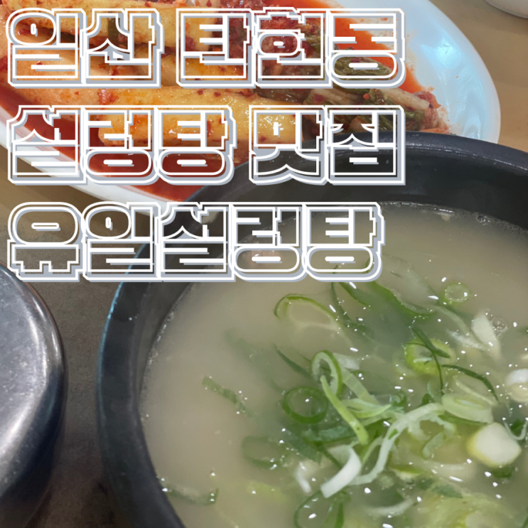  일산 탄현동 소문난 36년 된 설렁탕 맛집 진한 국물과 두툼한 고기 유일설렁탕