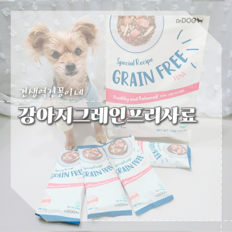  노령견사료 추천 기호성 좋은 강아지가수분해사료 닥터독 그레인프리