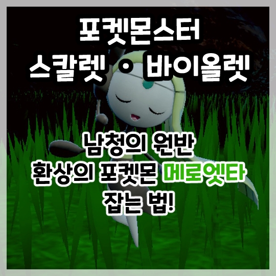  포켓몬스터 스칼렛 바이올렛-남청의 원반 5세대 환상의 포켓몬 메로엣타 잡는 법!