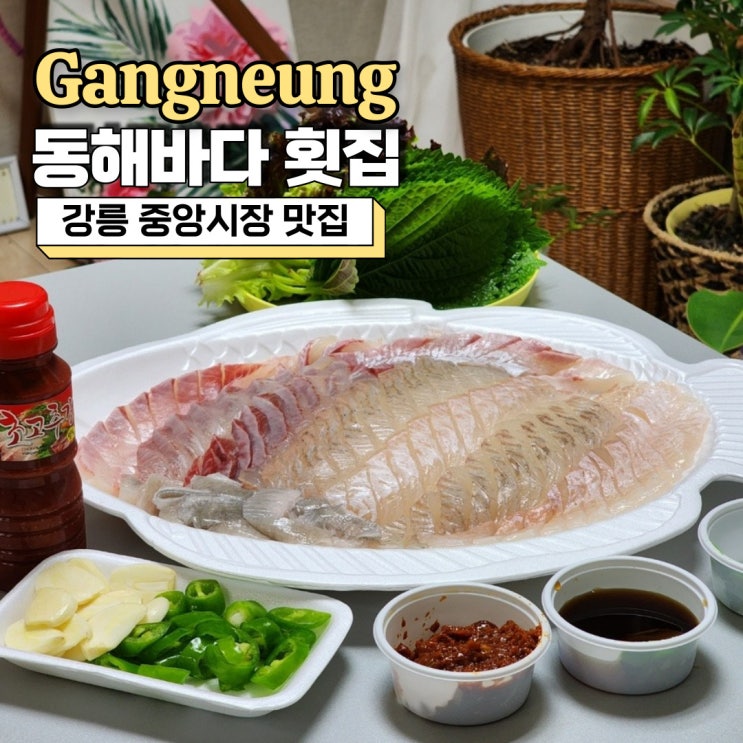  강릉중앙시장맛집, 싱싱한 밀치회 포장 가능한 동해바다 횟집