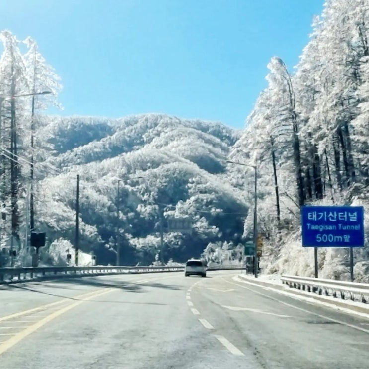  눈꽃인 줄 알았는데... 얼음꽃~!!! - 감탄이 절로 나오는 아름다운 풍경