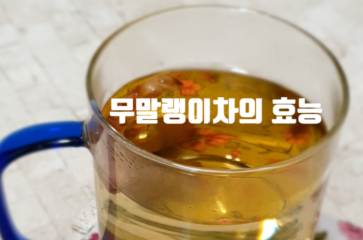  무차 효능 알아보기 자연의 선물 무말랭이