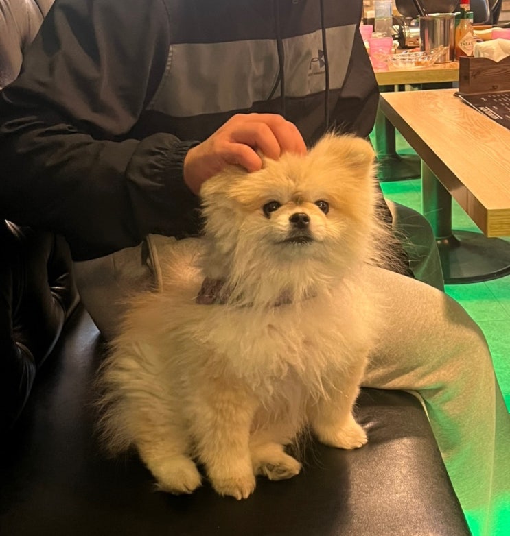  12월 셋째주 일상