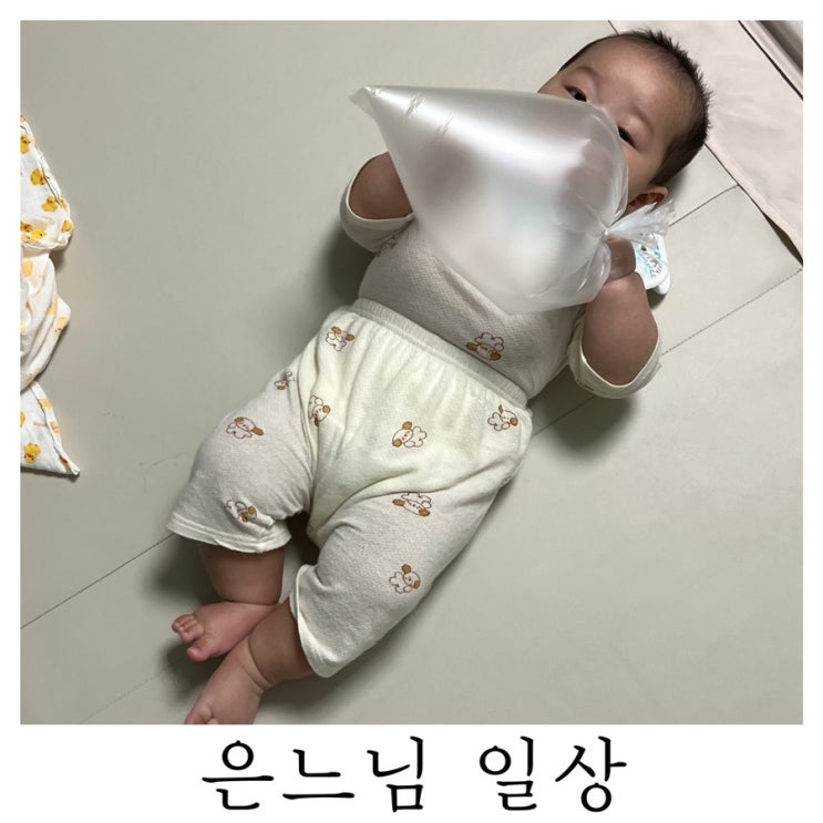  [은느님 일상]구찌헌 처음으로 먹어보는 이유식