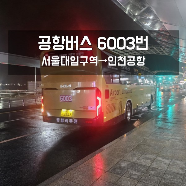  공항버스 6003번: 서울대입구역에서 인천공항
