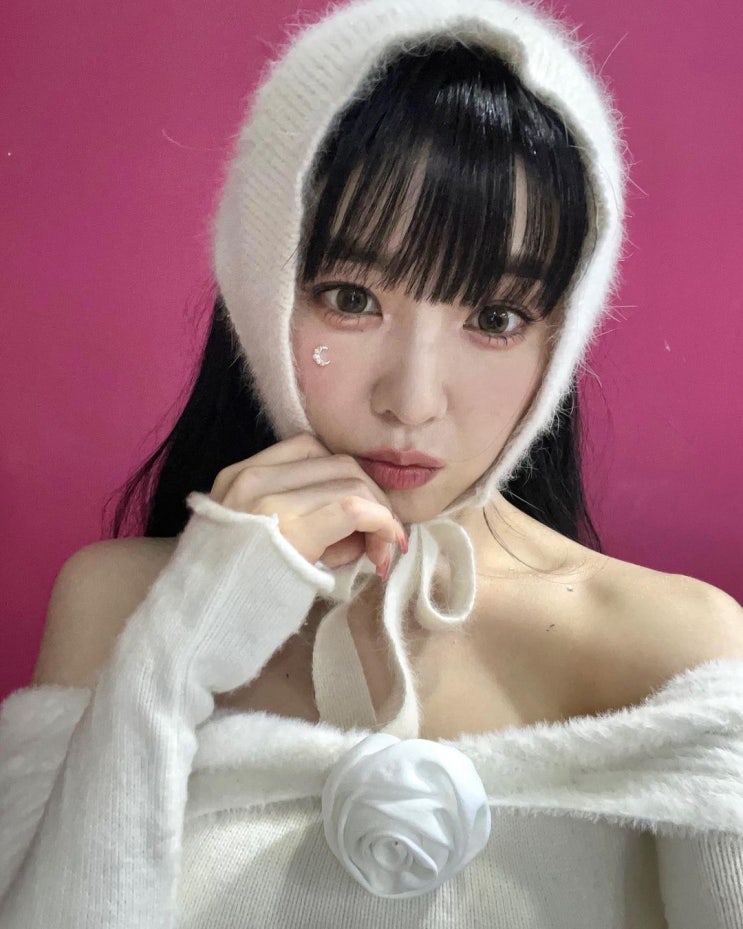 레드벨벳 아이린의 따스한 겨울을 위해 여자 모자 종류 중 앙고라로 구성된 여성 바라클라바 추천