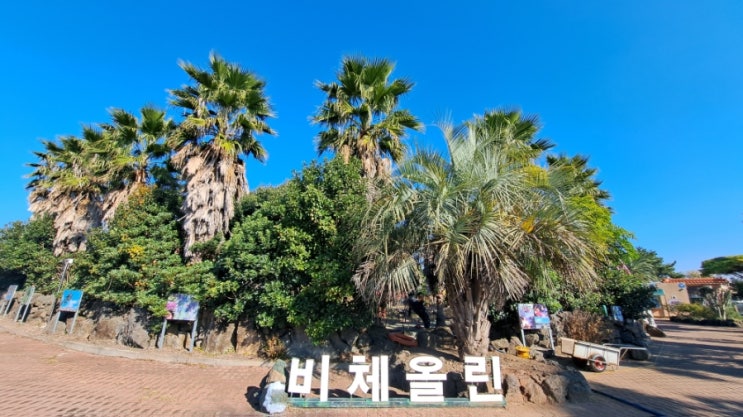  제주도 여행 비체올린 힐링 카약 파크