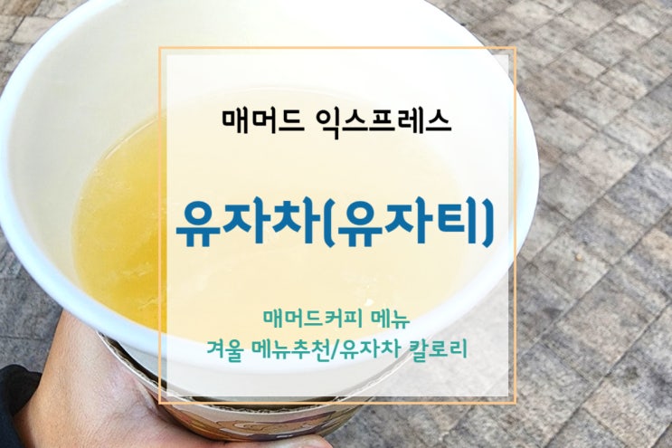  [매머드 익스프레스] 겨울에는 따뜻한 유자차(+매머드커피 메뉴/칼로리)