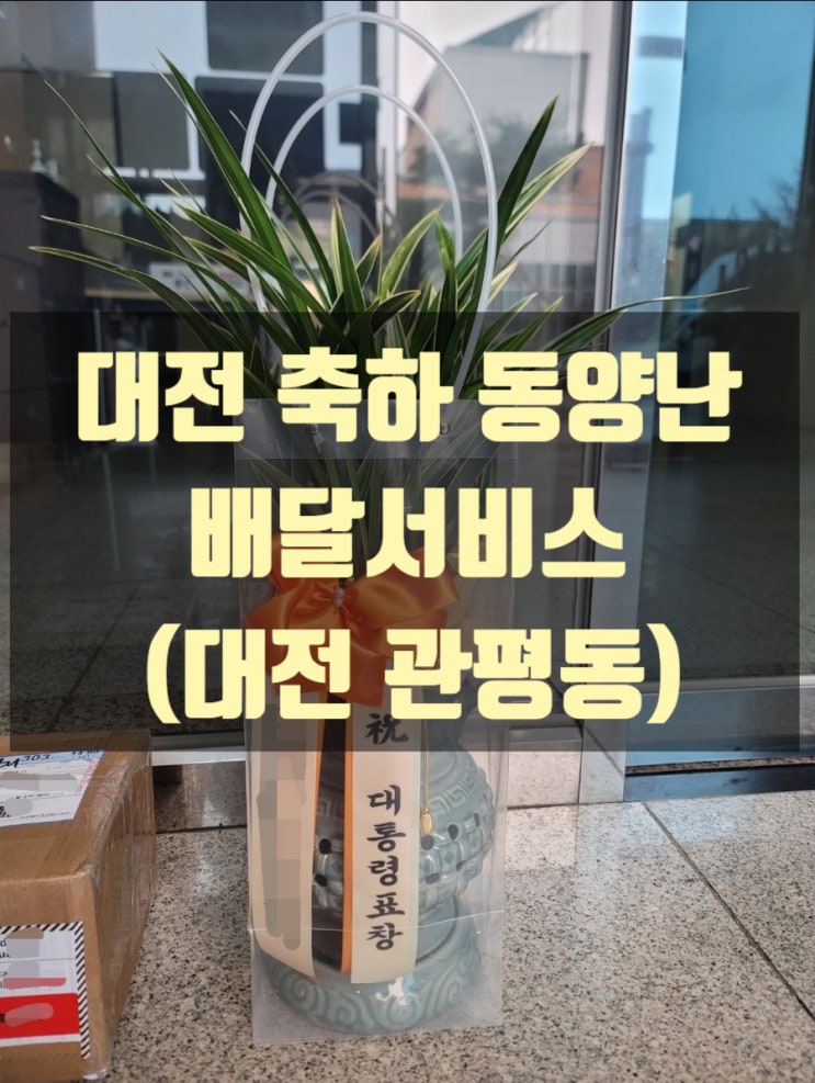  대전 축하 동양난 배달했습니다.(대전 관평동)