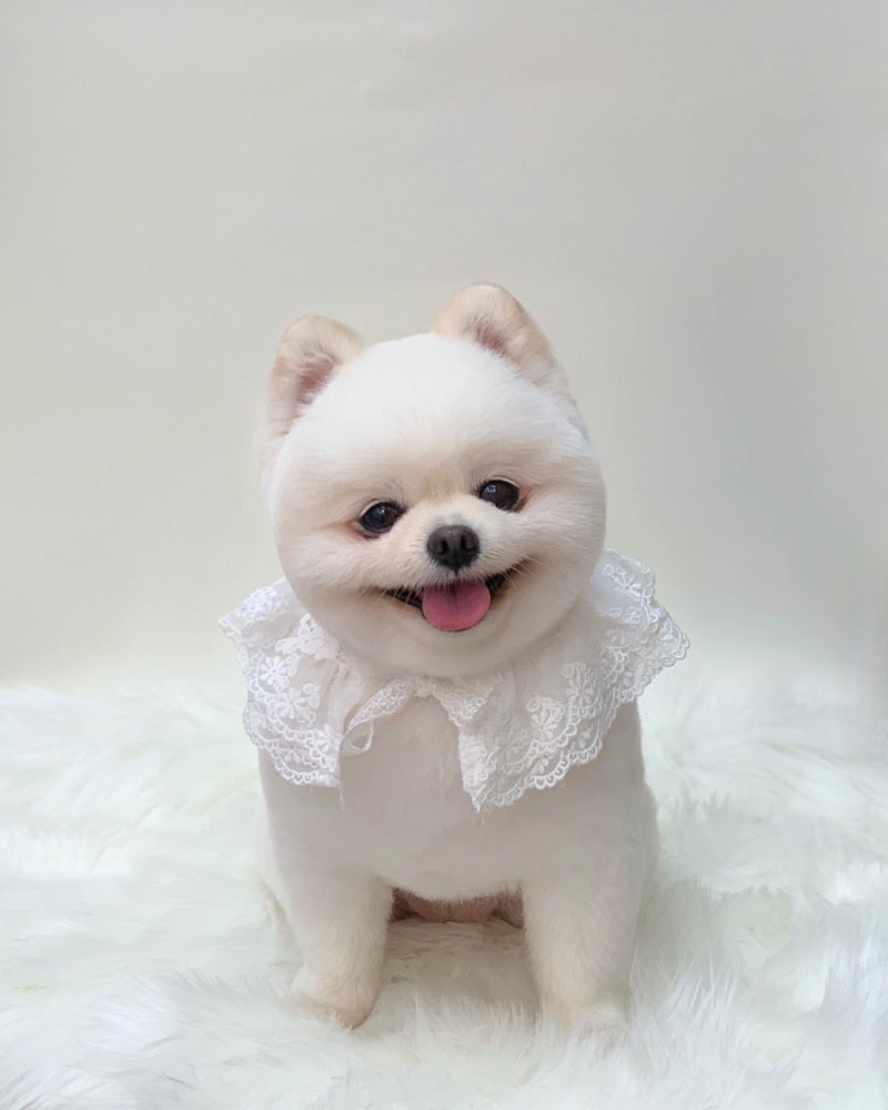 사진 3