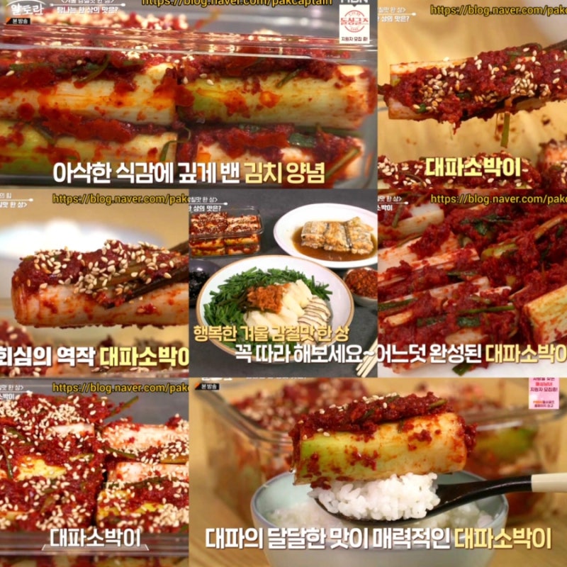 알토란 대파소박이 레시피 송훈 대파김치 담그는법