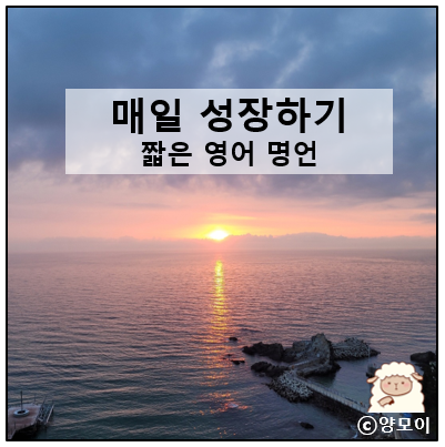  좋은 글 삶에 힘이되는 짧은 인생 글귀, 명언으로 날마다 성장을 꿈꾸며