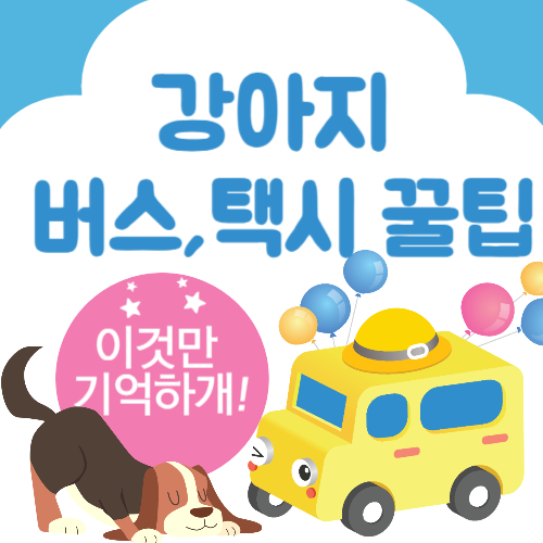  강아지 데리고 버스, 택시 타기! 이동가방과 법령만 알면 준비 끝!