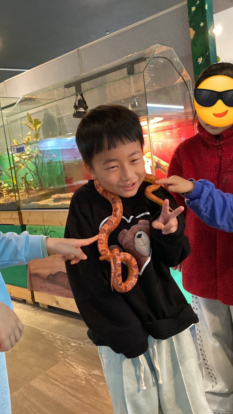  나무, 열매아빠 육아일기(73) - 추운 날씨 파충류 체험하기 좋았던 경산 다솜생태체험관.